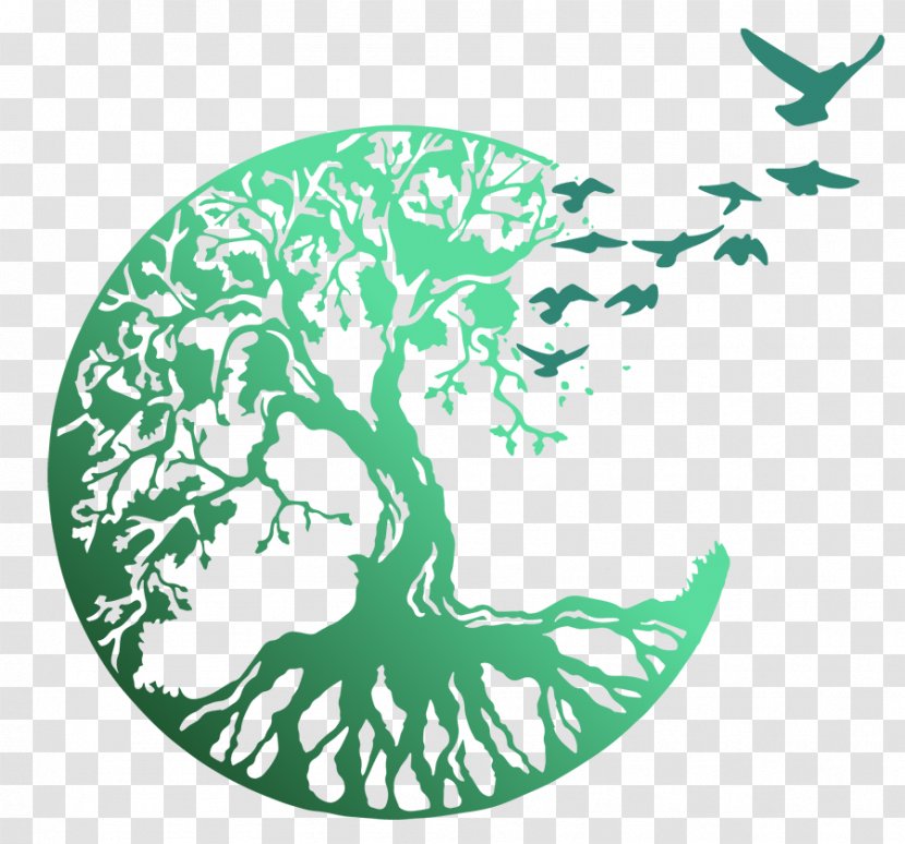 Tree Of Life Celtic Sacred Trees Symbol Image - Family Transparent PNG