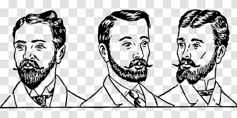 A Gentleman Facial Hair Beard Hairstyle - Cartoon Transparent PNG