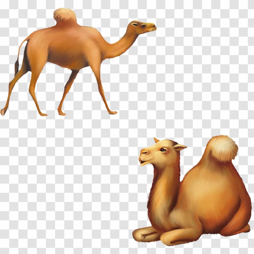 Cartoon Silhouette Illustration - Camel - Yellow Transparent PNG