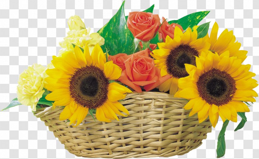 Common Sunflower Clip Art - Vase - Photos Transparent PNG