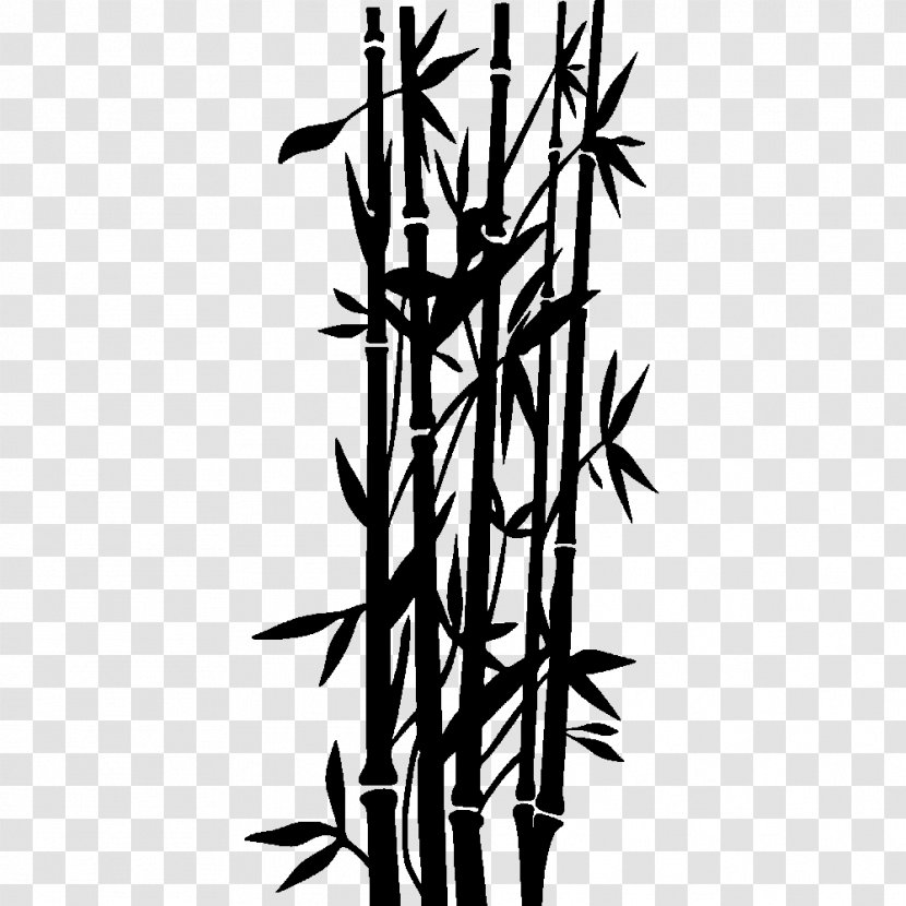 Wall Decal Sticker Tropical Woody Bamboos - Grass Family - Bamboo Vector Transparent PNG