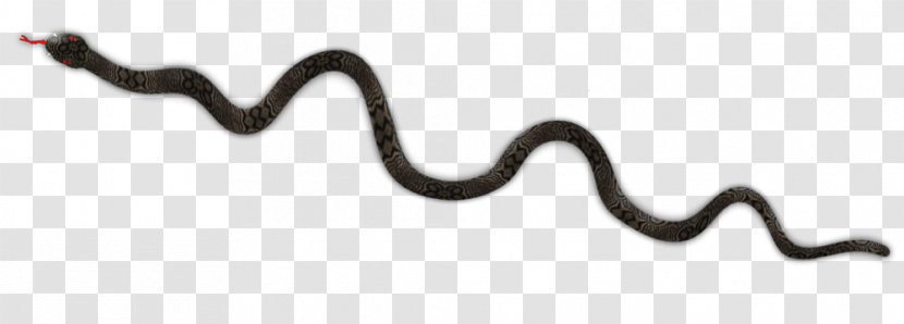 Snake Reptile Cobra - Computer Software Transparent PNG