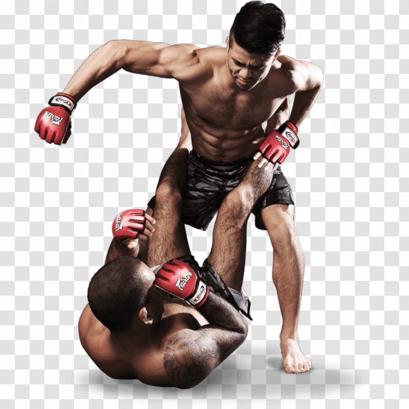 Ultimate Fighting Championship Mixed Martial Arts Display Resolution - Watercolor Transparent PNG