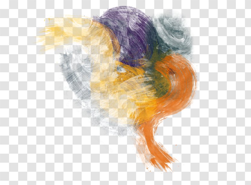 Painting Feather Transparent PNG