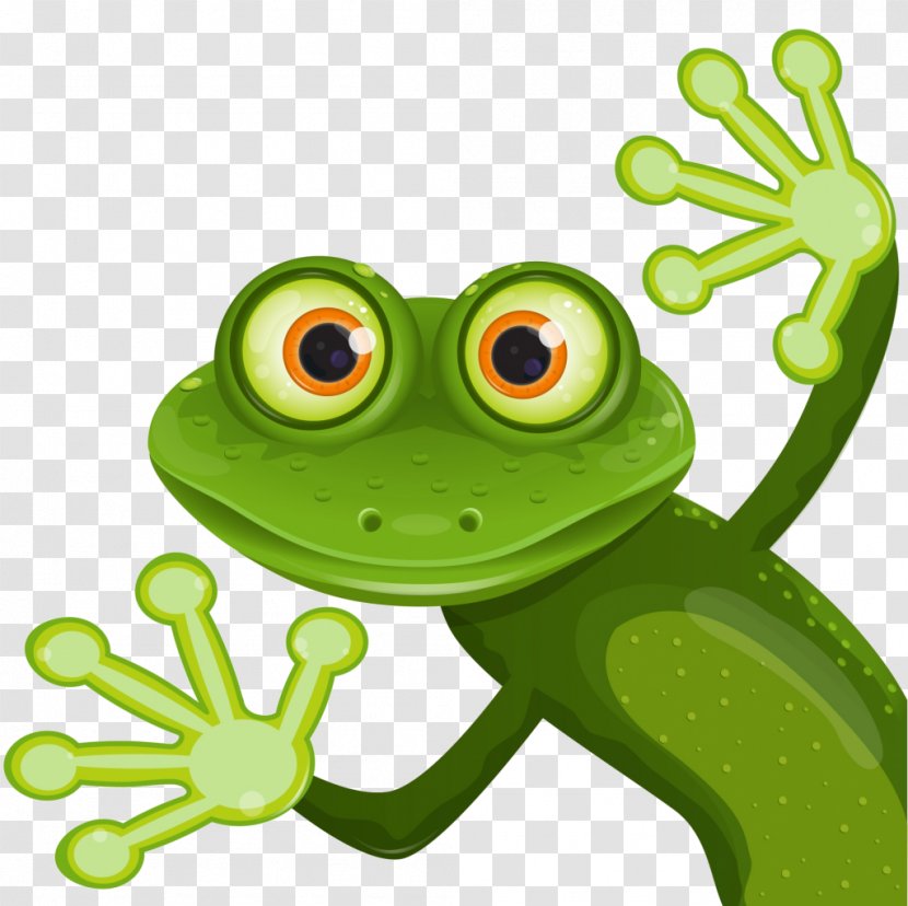 Royalty-free Vector Graphics Frog Stock Photography Illustration - Information Transparent PNG