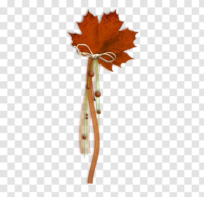Maple Leaf Red - Google Images - Creative Leafs Transparent PNG