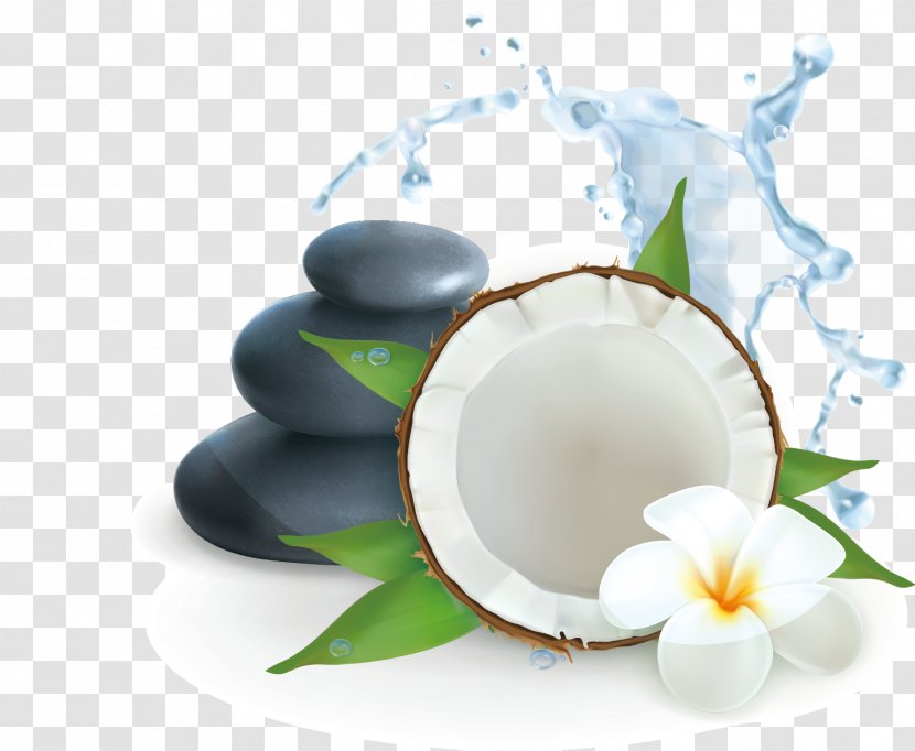 Coconut Water Illustration - Dinnerware Set - SPA Leisure Club Creative Transparent PNG