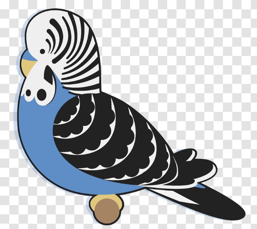 Budgerigar Bird Beak Parakeet Clip Art - Parrot Transparent PNG