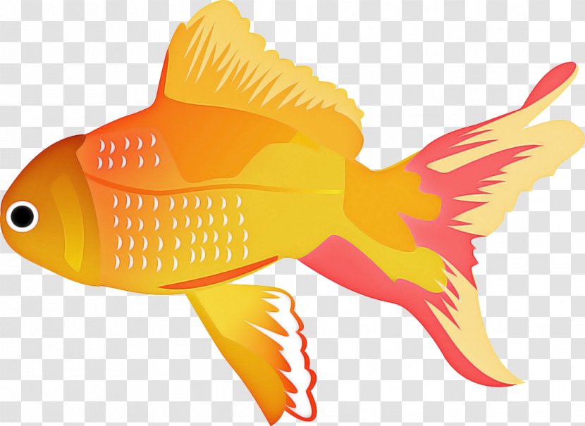 Fish Fin Goldfish Butterflyfish - Animal Figure - Bonyfish Coral Reef Transparent PNG