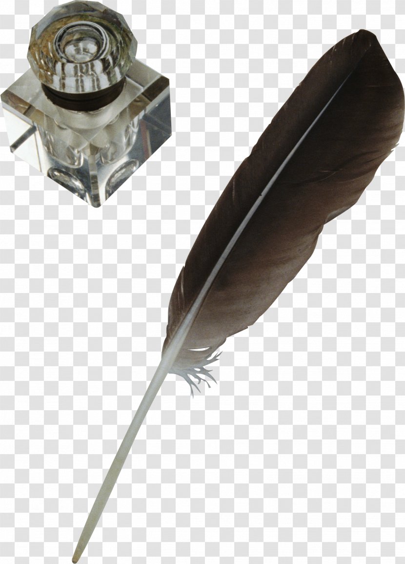 Paper Ink Pen Quill - Inkwell - Feather Transparent PNG