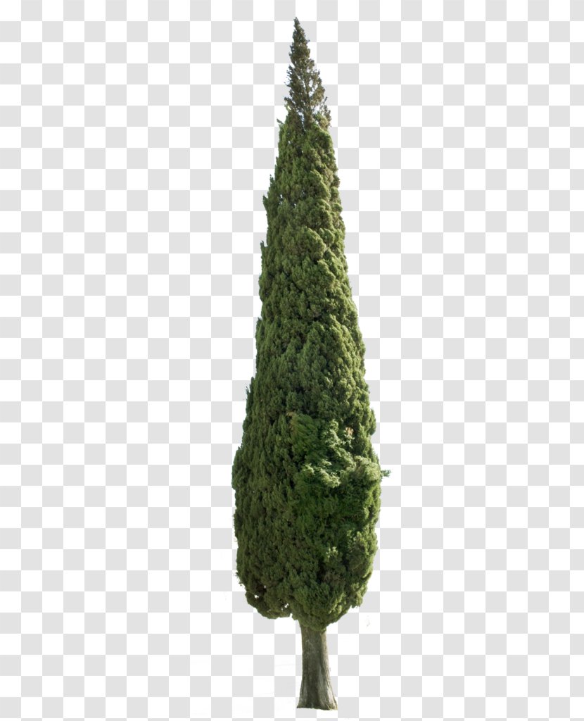 Artificial Christmas Tree Pre-lit Pine - And Holiday Season Transparent PNG