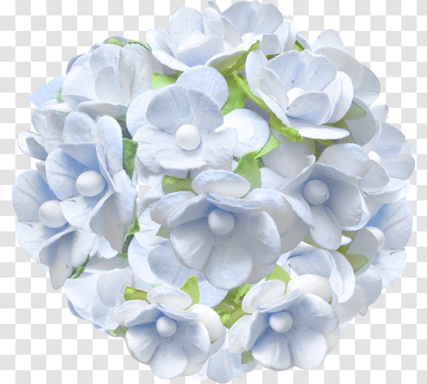 Floral Flower Background - Lilac Cornales Transparent PNG