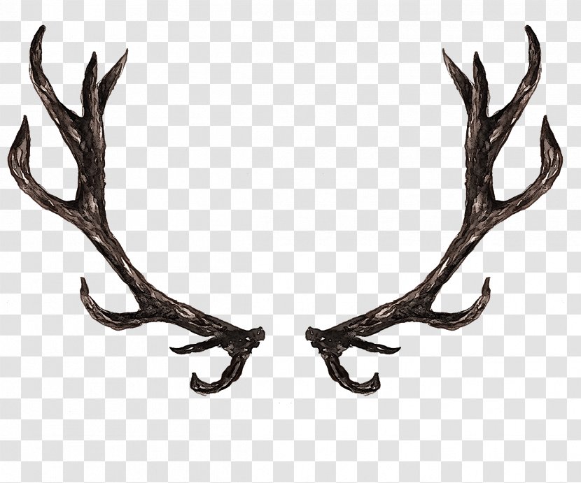 Horn Antler Elk Transparent PNG