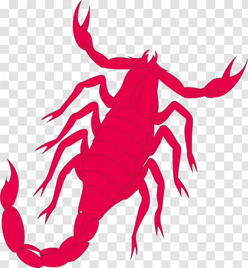 Scorpio Horoscope Astrological Sign Zodiac Astrology - Pest - Taurus Transparent PNG
