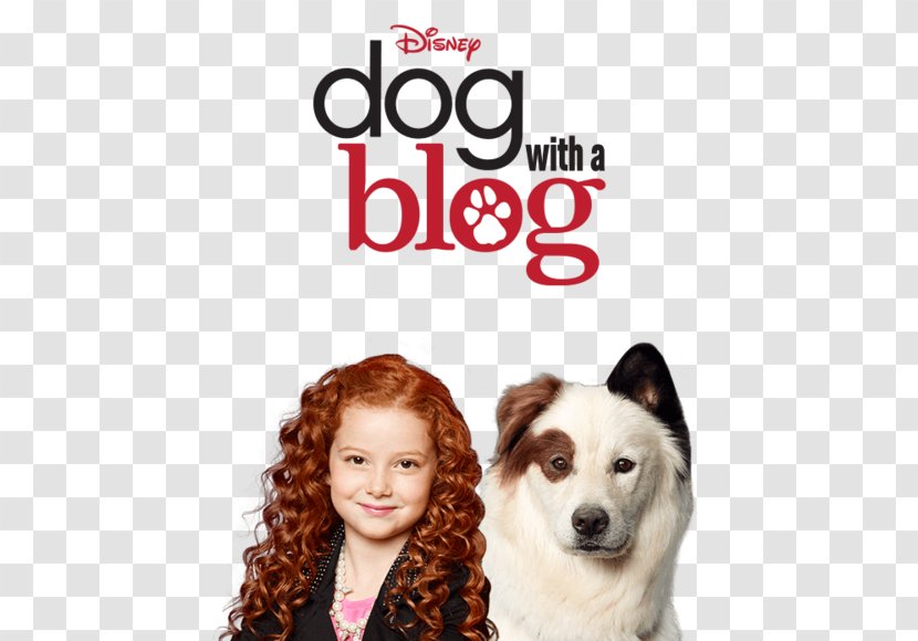 G Hannelius Dog With A Blog - Season 2 Avery Jennings Stan Runs AwayOthers Transparent PNG