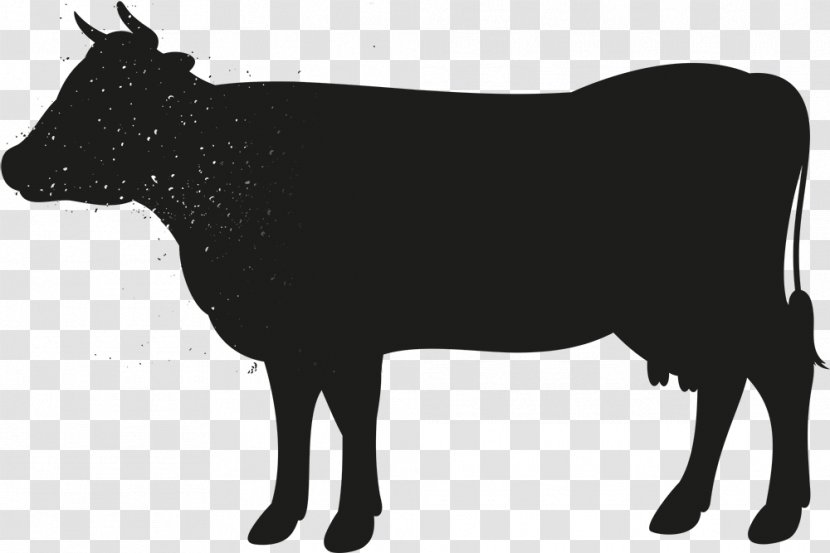 Charolais Cattle Santa Gertrudis Logo Meat Food - Like Mammal - Ouderwets Transparent PNG