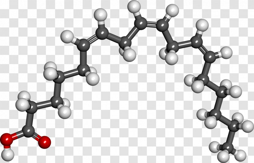 Gamma-Linolenic Acid Alpha-Linolenic Linoleic Fatty - Omega6 - Cold Ling Transparent PNG