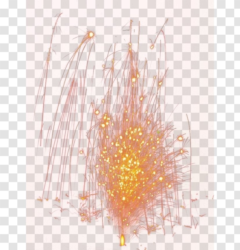 Petal Pattern - Fireworks Transparent PNG