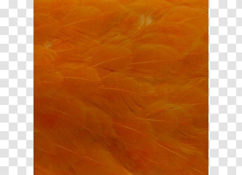 Acrylic Paint Wood /m/083vt Resin Brown - Orange - Hen Transparent PNG