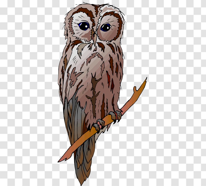 Great Horned Owl Drawing Clip Art - Bird Of Prey - Barn Transparent PNG