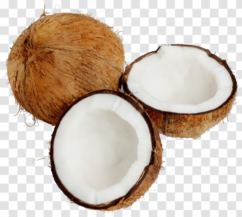 Watercolor Tropical - Coconut Oil - Plant Food Transparent PNG