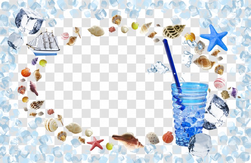 Fundal Seashell Illustration - Sea Snail - Shell Decorative Background Transparent PNG