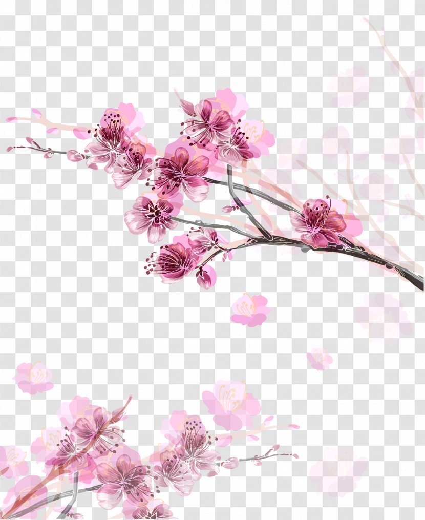 Paper Cherry Blossom Flower - Pattern - Hand Painted Pink Peach Vector Transparent PNG
