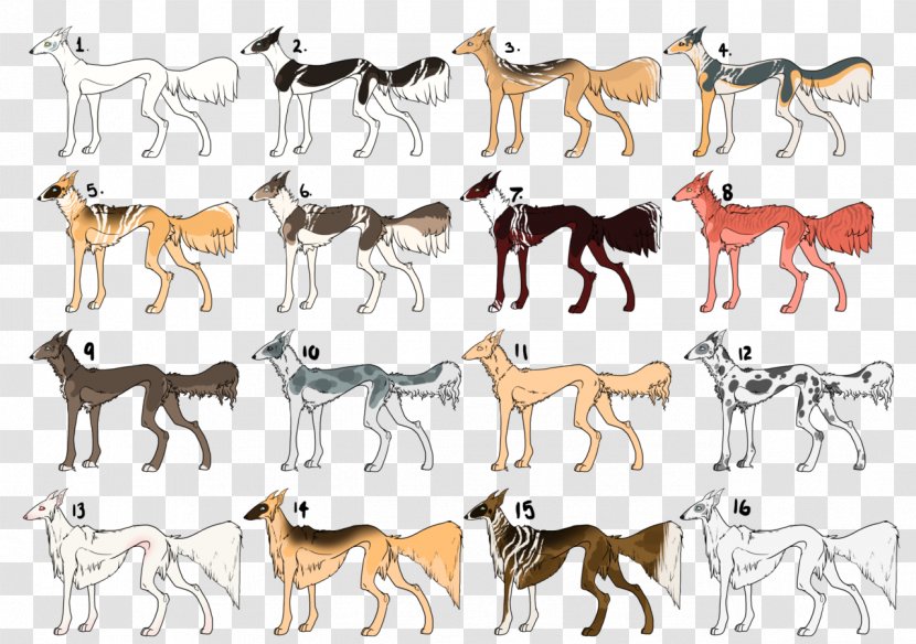 Dog Breed Mustang Freikörperkultur - Mixed Transparent PNG