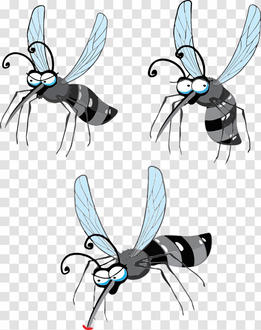 Gnat Zika Virus Crane Fly Yellow Fever Mosquito Clip Art - Health Transparent PNG