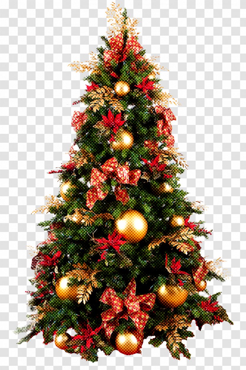 Christmas Tree - Fir - Plant Transparent PNG