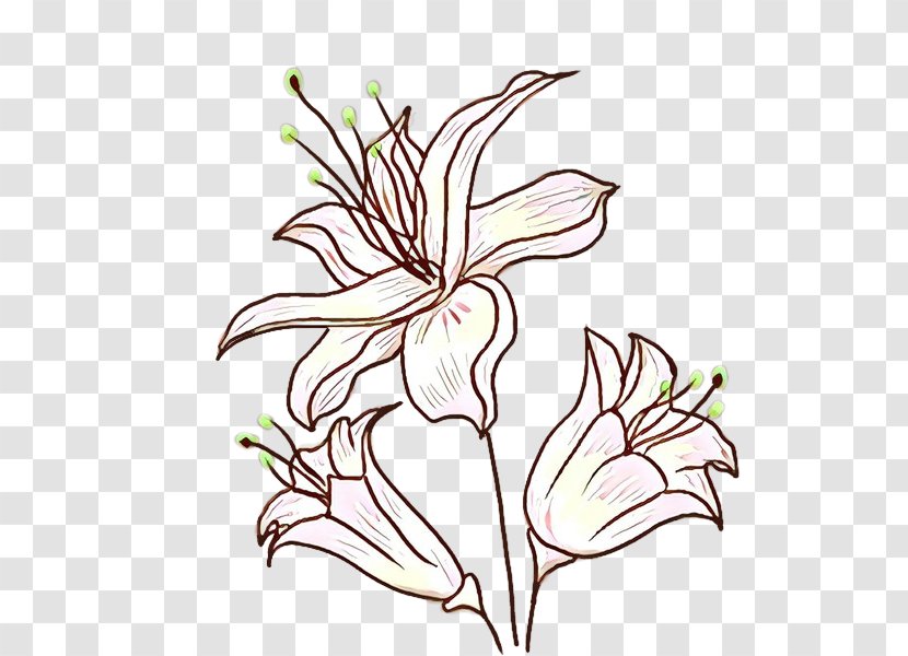Flower Plant Pedicel Leaf Flowering - Cartoon - Wildflower Stem Transparent PNG