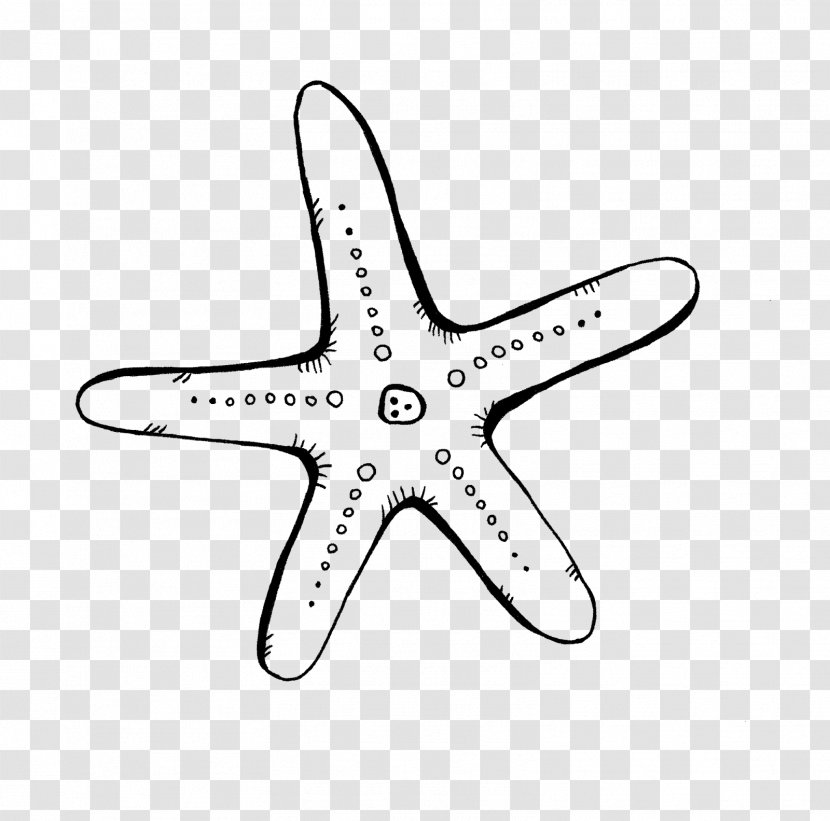 Starfish Digital Image Clip Art - Organism - Real Transparent PNG