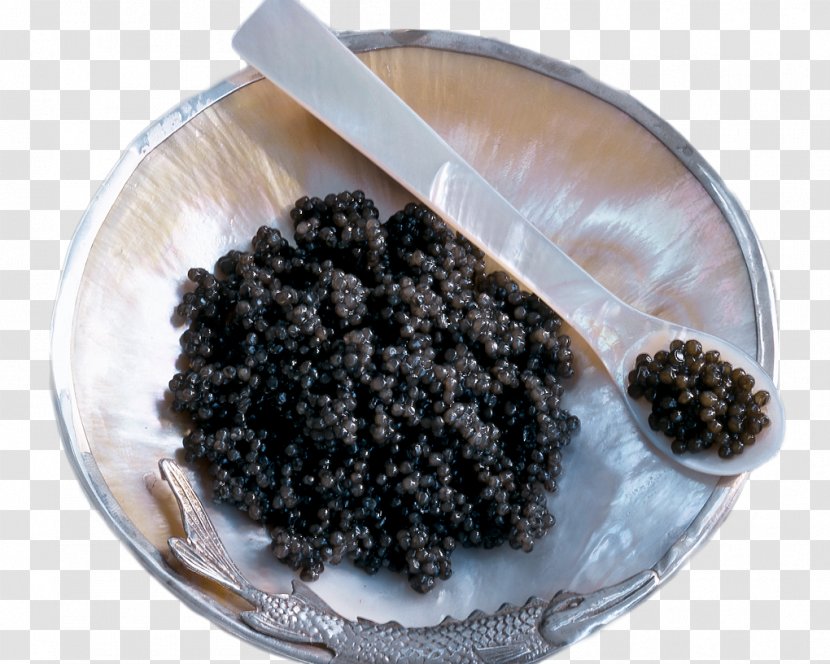 Sevruga Caviar Starry Sturgeon Photography - Getty Images - Methodology Icon Transparent PNG