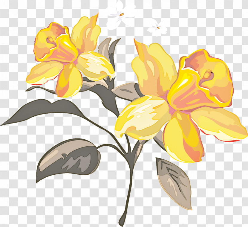 Flower Yellow Plant Petal Narcissus Transparent PNG