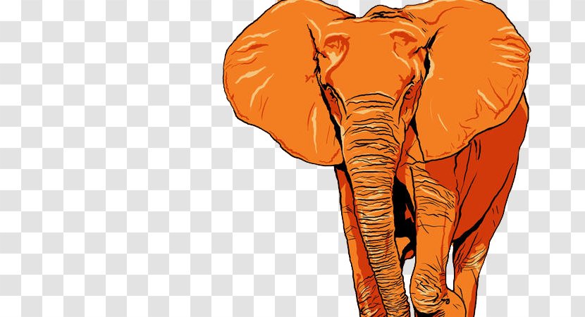 Adobe Illustrator Graphic Design 4K Resolution Wallpaper - Vertebrate - Orange Elephant Transparent PNG