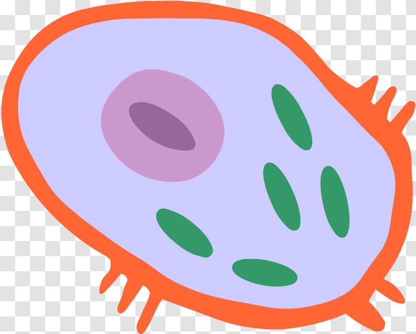 Egg Cartoon - Biology - Smile Mitochondrion Transparent PNG
