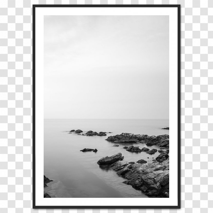 Black And White Fine-art Photography Photographer - Ocean Transparent PNG