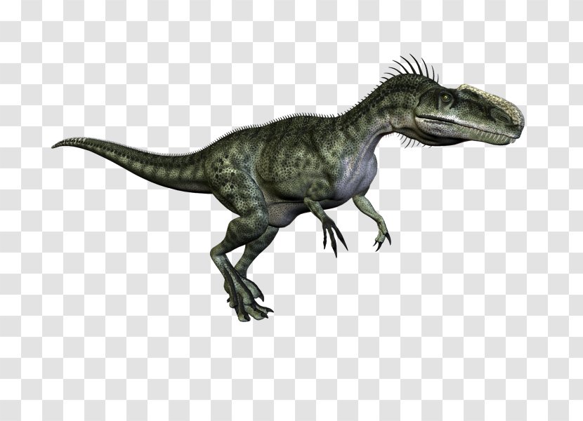 Tyrannosaurus Velociraptor Dinosaur PhotoScape Clip Art - Animal Figure - Dinosaurs Transparent PNG
