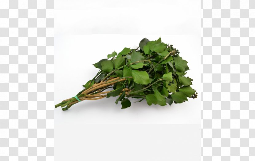 Spring Greens Rapini Rose PDF - Flower Transparent PNG