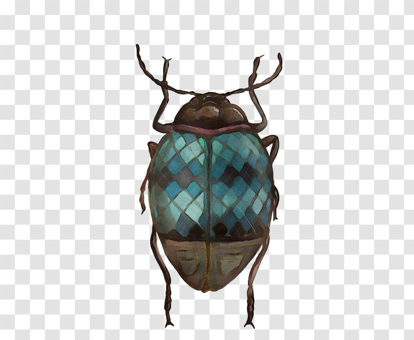 Deer Scarabs True Bugs Antler Turquoise Transparent PNG