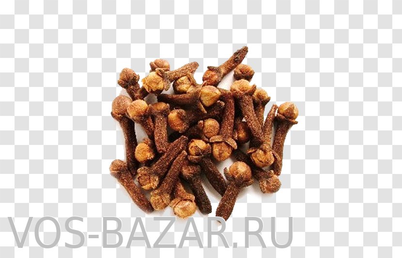 Clove Indian Cuisine Spice Cumin Seed - Fennel Transparent PNG