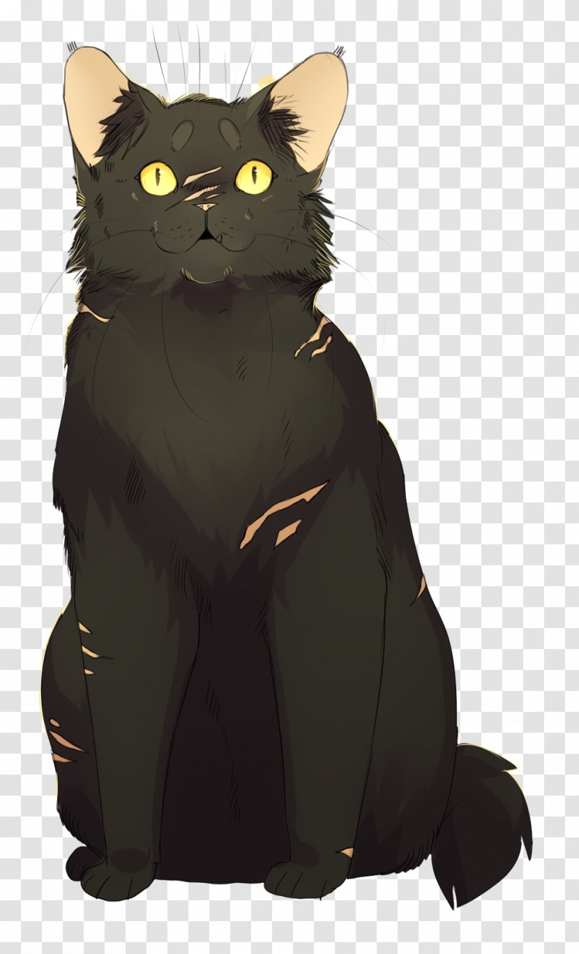 Kitten Black Cat Warriors Whiskers Transparent PNG