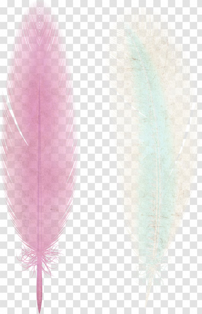 Pink Ribbon Feather Transparent PNG