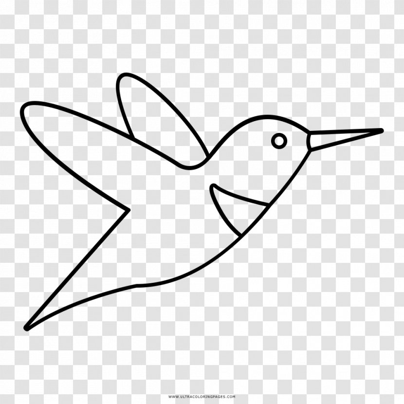 Hummingbird Drawing Black And White Coloring Book - Organism - Cabeza Transparent PNG