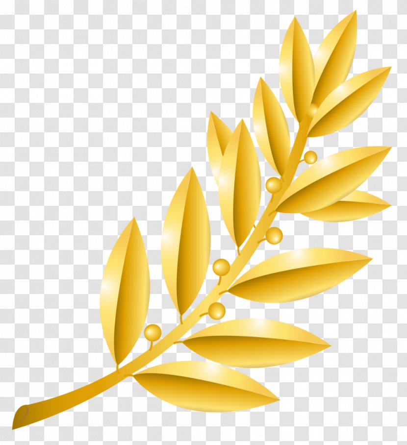 Clip Art - Flower - Royaltyfree Transparent PNG