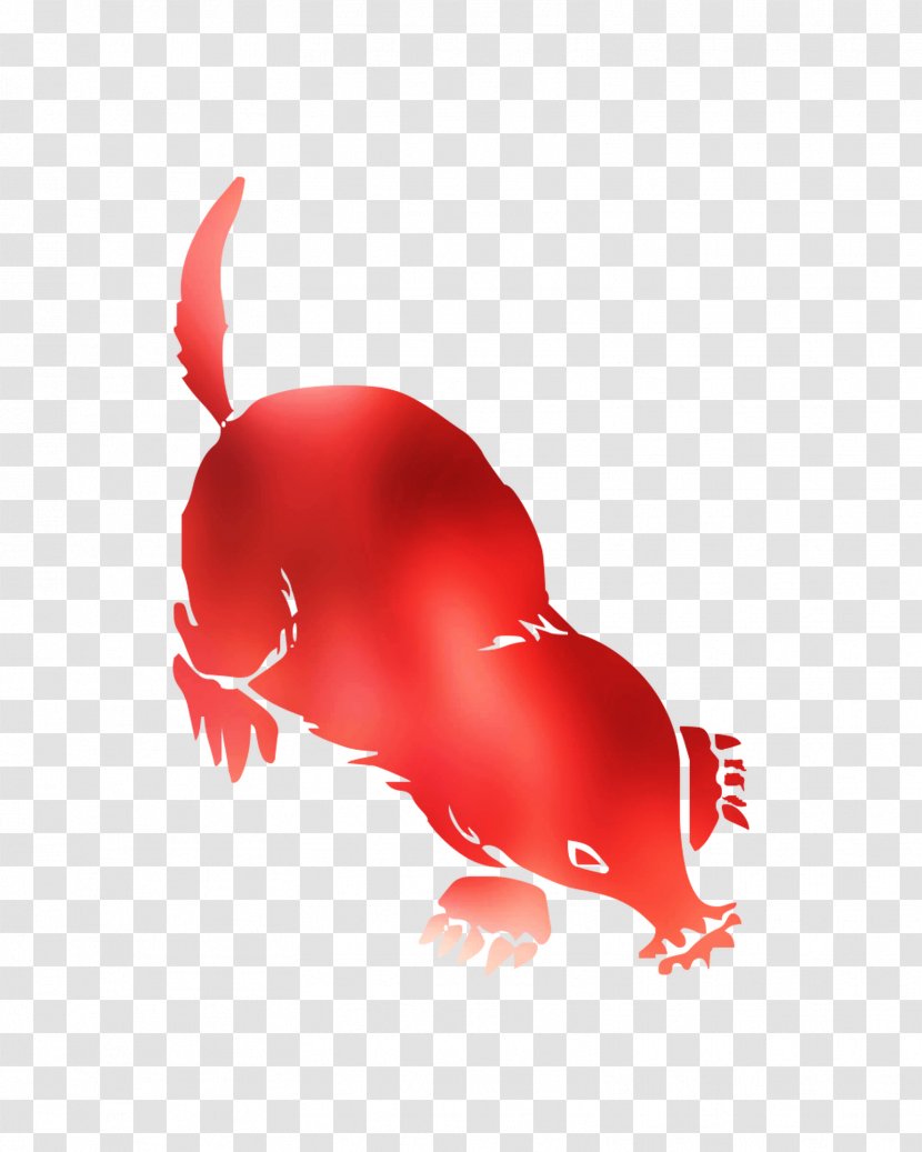 Rat Canidae Dog Chicken Mammal - Pet Transparent PNG