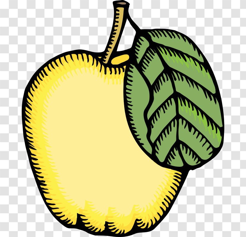 Quince Clip Art - Royaltyfree Transparent PNG