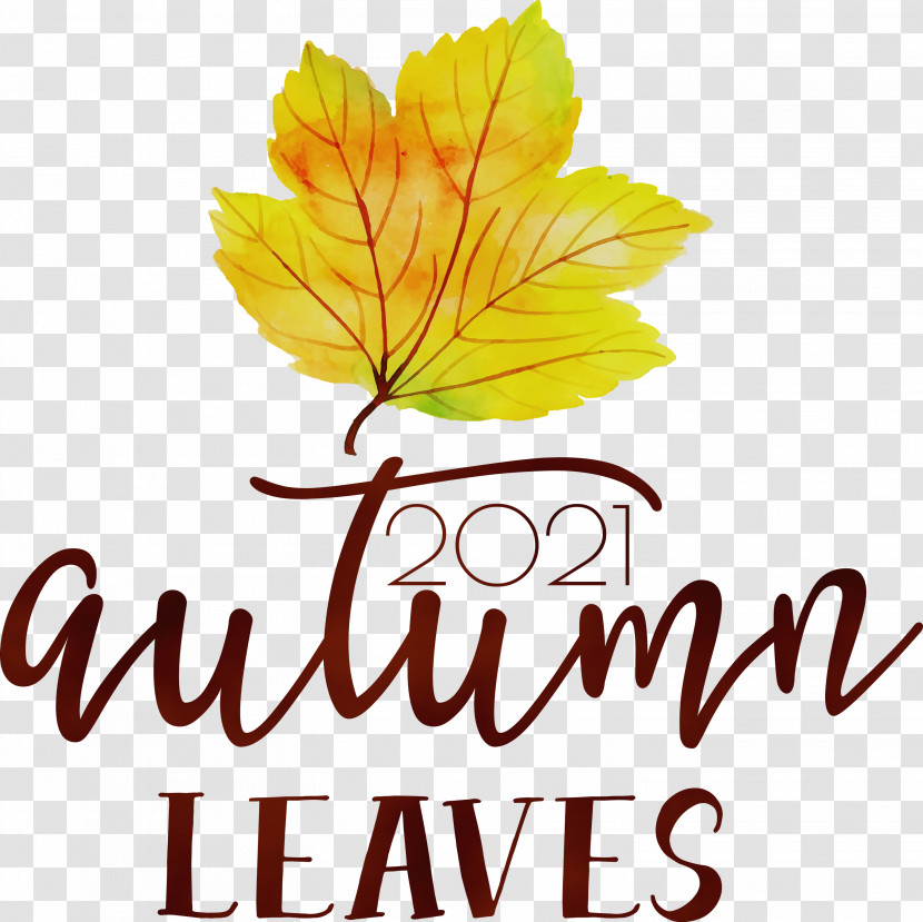 Leaf Flower Tree Font Meter Transparent PNG