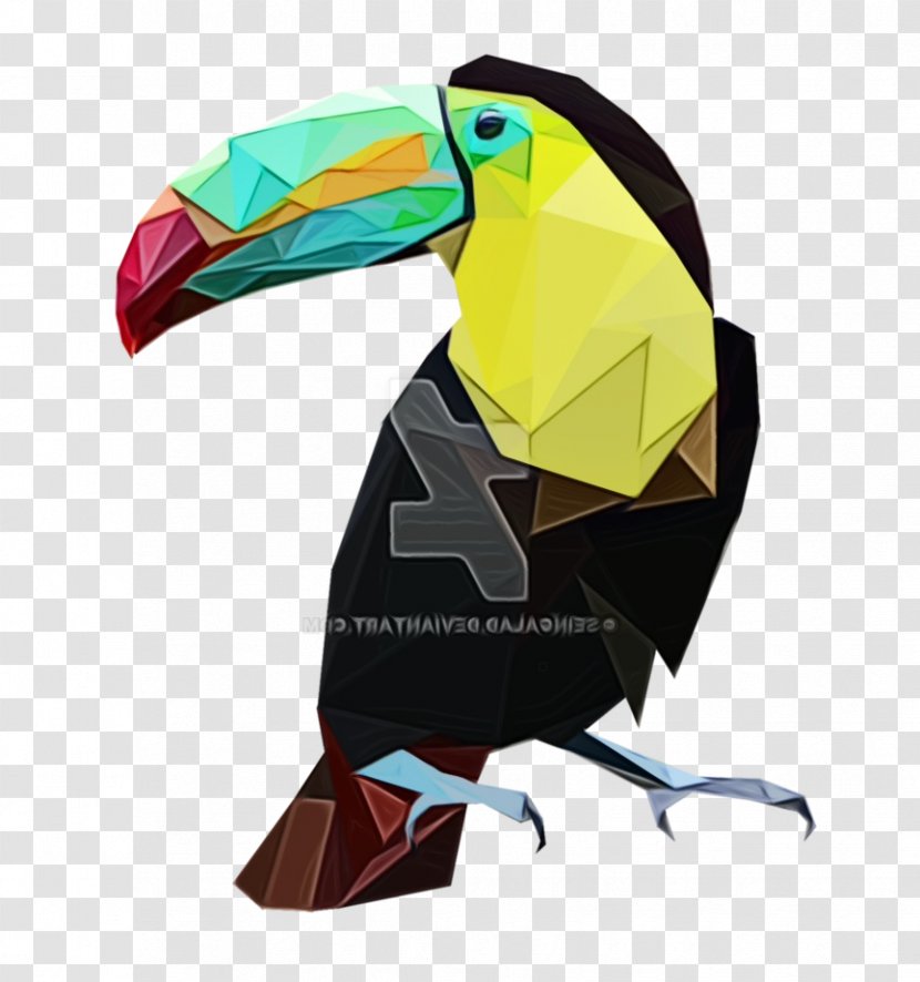Toucan Beak Product Design - Coraciiformes Transparent PNG