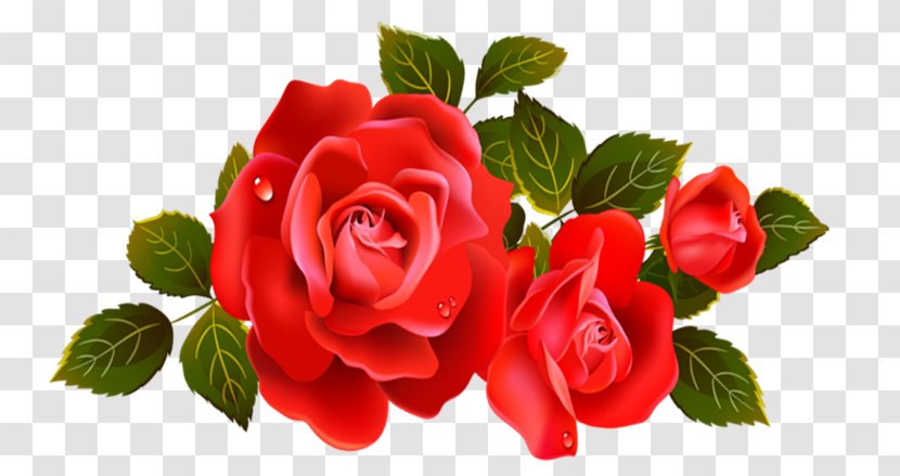 Falling In Love Happiness Mother - Rosas Vermelhas Transparent PNG